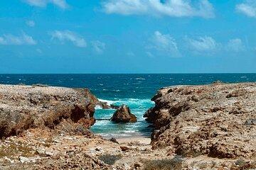 Aruba 6 Hours Private Island Tour