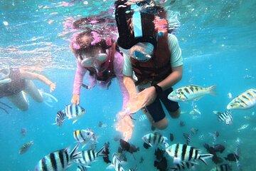 Snorkeling Blue Lagoon and Tanjung Jepun All Inclusive