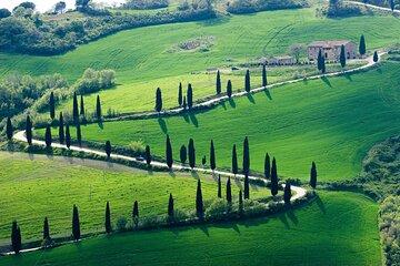 Private Transfer Rome to Florence with a stop to visit Siena