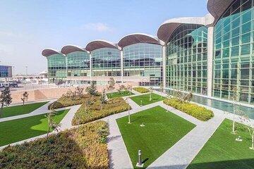 Private Transfer from Amman Airport to Aqaba