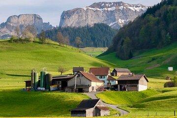 Appenzell Cow milking experience from Zurich with alpine scenery
