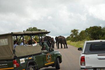 Pilanesberg Shared Transfer and 3 Hour Safari