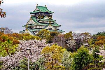 Osaka Full Day Tour with Local Expert Guide