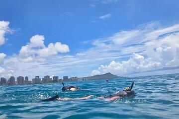 Parasailing and Snorkeling Combo Tour