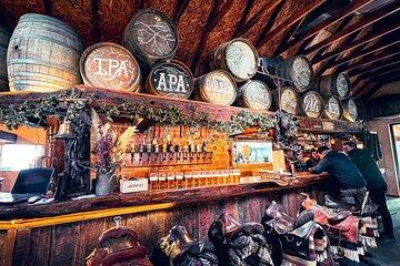 Bariloche Craft Beer Sensory Experience