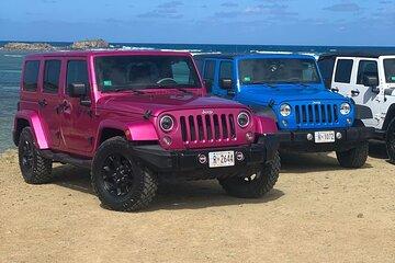 4WD Jeep Safari and Beach Private
