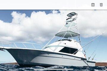 Deep Sea Sport Fishing