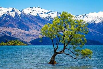 Private Day Trip to Wanaka Cardrona and Cromwell from Queenstown