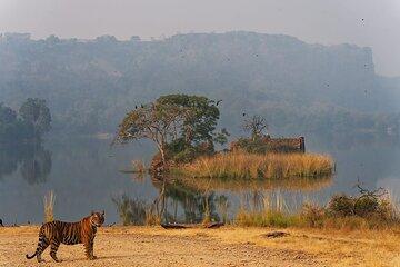 Ranthambore National Park