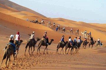 Private Luxor City Horse and Camel Ride Adventure