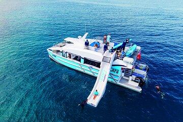 Ride & Slide by South Sea Cats - Half Day Snorkelling Trip