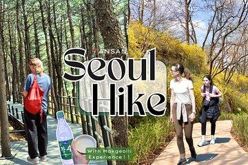 Ansan Jarak-gil Trail and Makgeolli Seoul Hike Experience