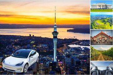 Auckland Sightseeing Tour—Private Full Day/Half Day Driver+Tesla