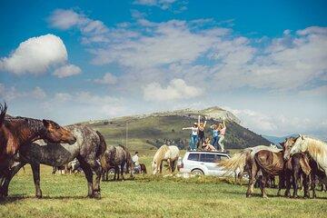 Wild Horses Safari Signature Experience Trip to Livno