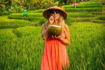 Discovery Bali Customized Day Tour With English Speaking Driver
