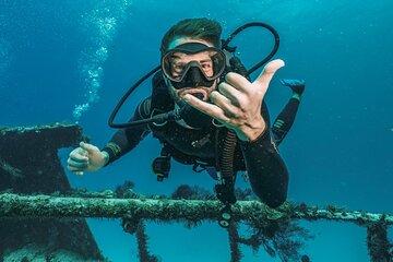 Coral Garden Amazing Sea Trip & 2 dive With Transfer - Marsa Alam