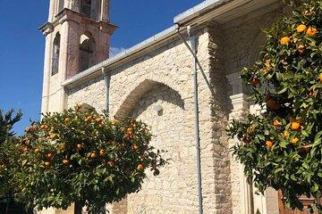 Experience Troodos Gems Shared Tour
