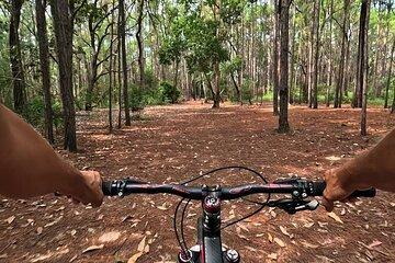 The East Coast in Two Wheels Fat Bike Eco Tour