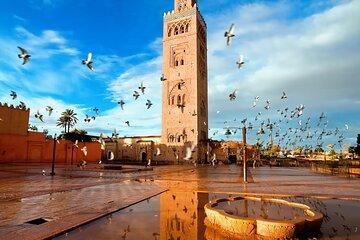 Marrakech Day Trip from Agadir Explore the Red City in a Day