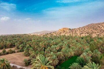 Day trip to Taroudant from Agadir