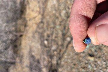 Four Hour Rockhounding Tour