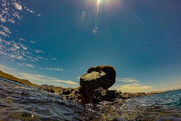 5 hours Balandra Beach Tour Snorkel with Sea Lions