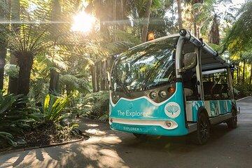 The Explorer - Melbourne Gardens