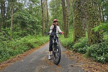 Eco Adventure Bali: Explore Kintamani, Penglipuran & Tirta Empul