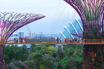 Singapore OCBC Skyway Sightseeing Ticket,