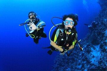 Scuba Diving and Snorkeling Trip in Side