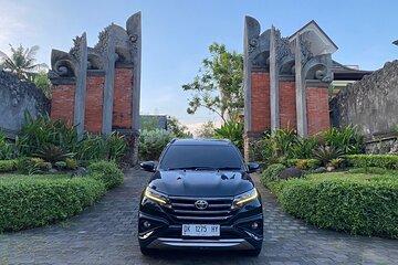 Bali Private Car Tour Experience