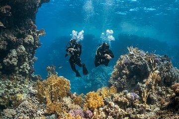 Explore Paros by Scuba Diving Activity