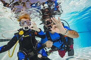 Beginner Dive Experience Explore the Sea