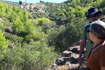 Hvar Hiking Adventure, Hidden Gems and Dalmatian Cuisine