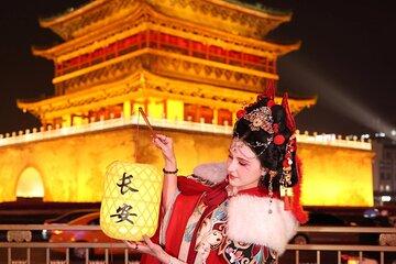 Private VIP Tour 2 Day Xi'an Highlights Experience