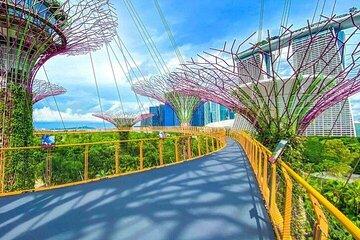 Gardens by the Bay with Flower Dome and Cloud Forest Singapore