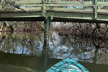 3 hour E.G. Simmons Park Mangrove Tunnel Tour