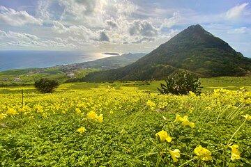 Porto Santo - Explore Pico Castelo and Pico do Facho hiking tour