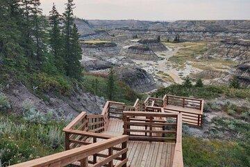 1 Day in Dinosaur Country Private Minibus Drumheller Adventure