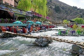 Day Trip to the Ourika Valley, Marrakech