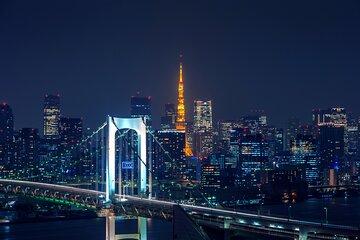 Tokyo city private minivan/car tour english speaking driver