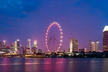 Singapore Flyer and Time Capsule Ticket