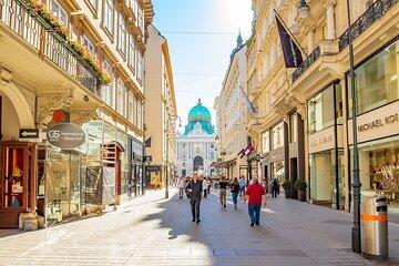 Vienna Walking Tour Experience