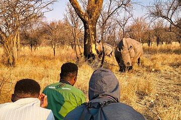 Victoria Falls Wildlife Watching Guided Walk