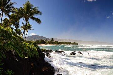 Private 5-hr Off-Road Trip on Oahu’s Wildlife-Rich North Shore