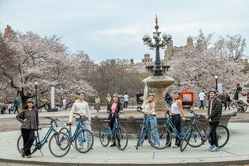 NYC Hop On Bus Liberty Cruise and Bike Day Pass