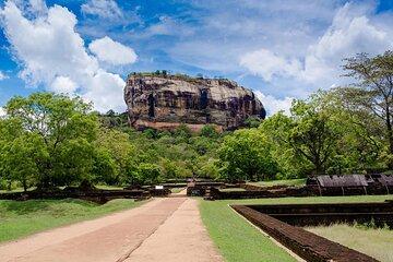 Sigiriya and Dambulla Day Trip and Safari From Colombo