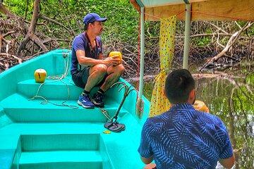 Nature Adventure in the Mangroves of Barra de Santiago