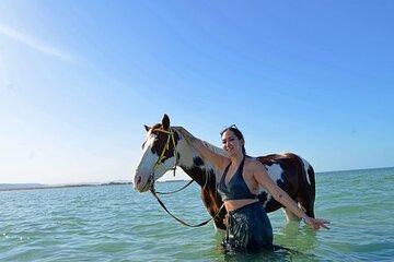 3 Hours Horse Riding Beach, Desert & Swimming By Horse - Hurghada