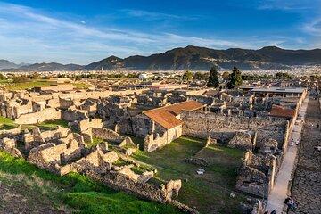 Pompeii and Amalfi Coast Customizable Private Tour from Naples
